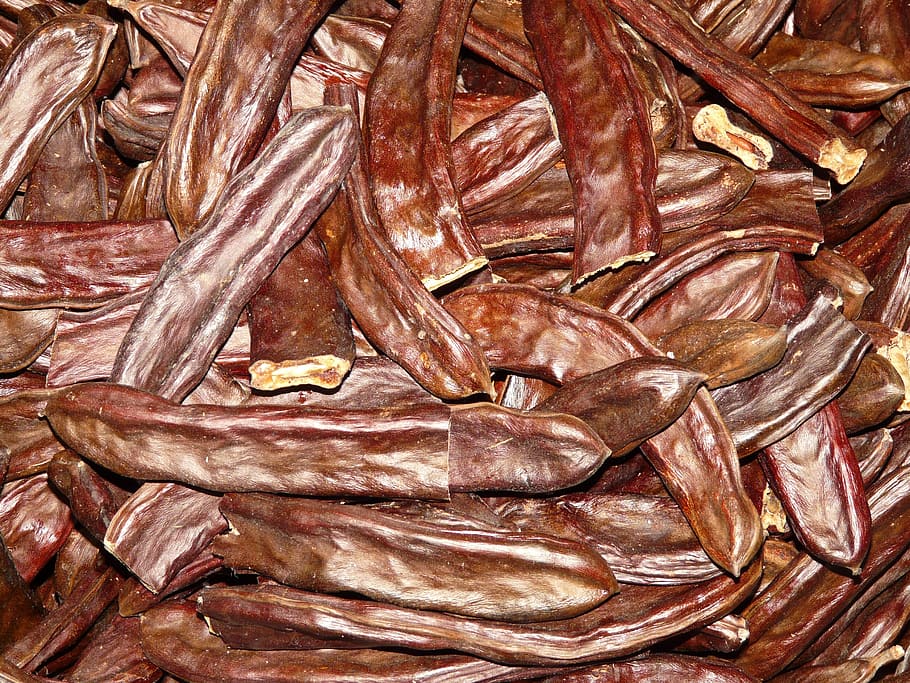 carob pods, carob, pods, seeds, sleeves, tree fruit, infructescence, brown, bockshoerndlbaum, ceratonia siliqua