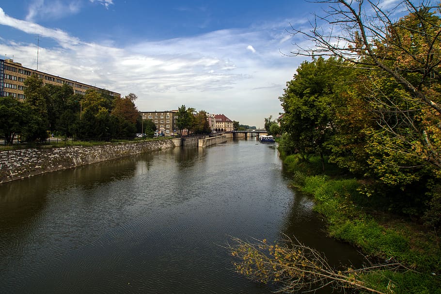 opole, silesia, channel mlynowka, millrace, tree, water, plant, architecture, building exterior, sky
