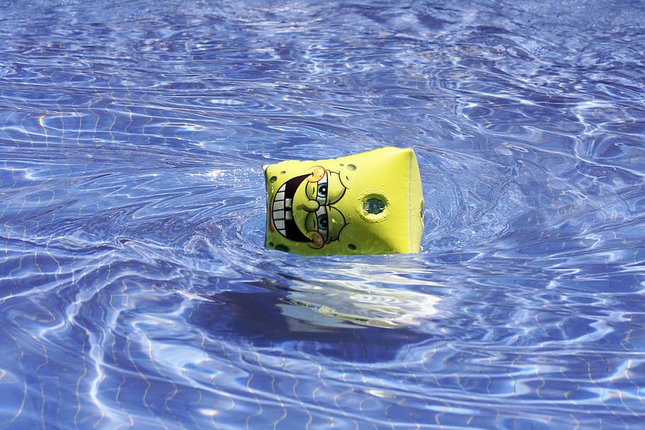 spongebob squarepants floater, floating, water, sleeve, sponge bob, pool, celeste, swirl, bathroom, waterfront