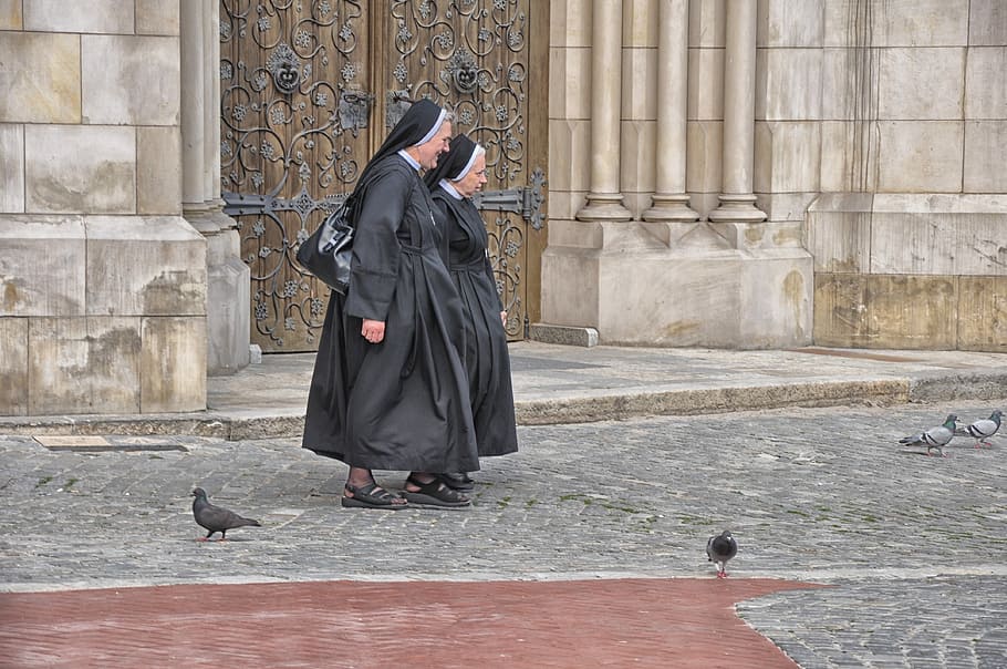 nuns, the cathedral, the basilica, poland, tourism, nun, habit, people spiritual, bird, architecture