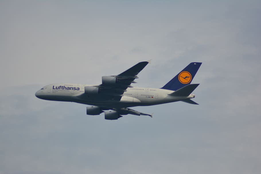 aircraft, lufthansa, transport, passenger aircraft, airline, airbus, flying, air vehicle, transportation, motion