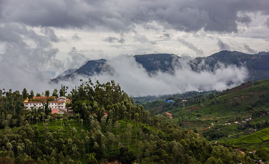 hills, clouds, nilgiris, tamil nadu, india, indian, landscape, nature, tea plantations, beautiful
