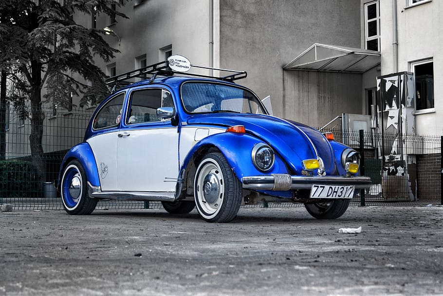 kumbang volkswagen biru, Mobil, Kendaraan, Roda, transportasi, polisi, reli, otomotif, aspal, jalan