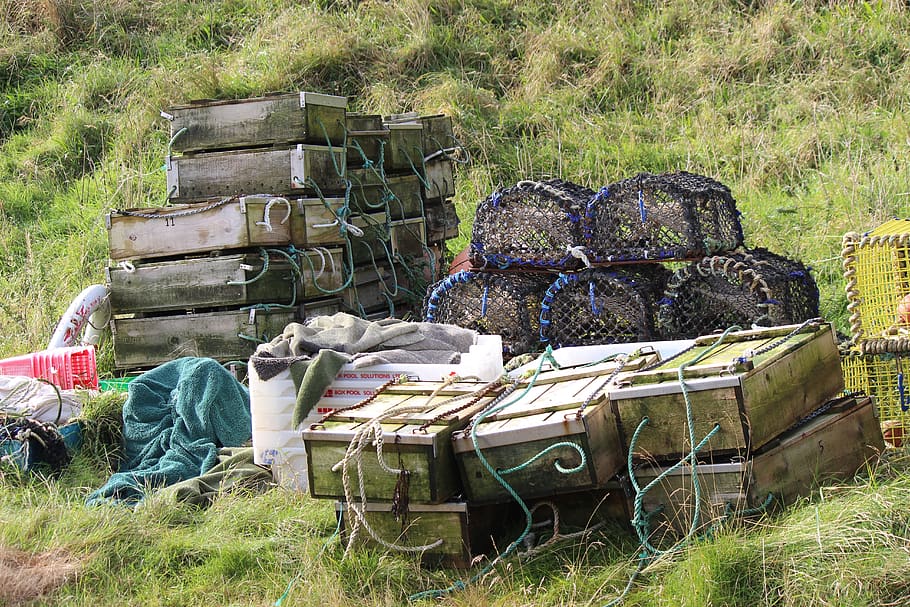 fishing boxes, lobster creels, harbour, plant, land, nature, stack, day, grass, field