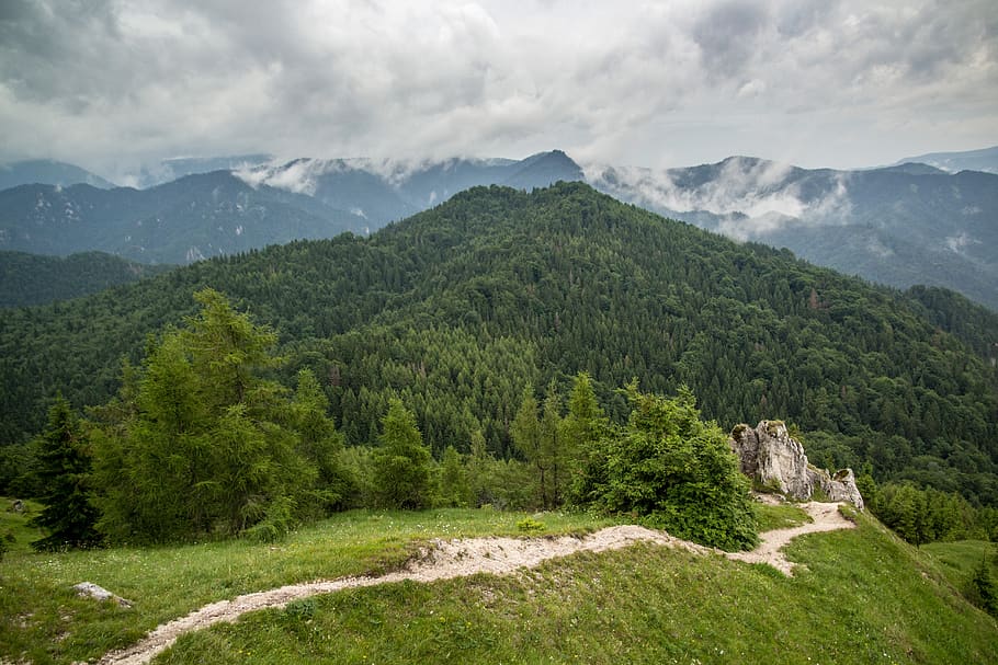 eslováquia, montanhas, paisagem, verão, planta, montanha, árvore, beleza natural, paisagens - natureza, céu