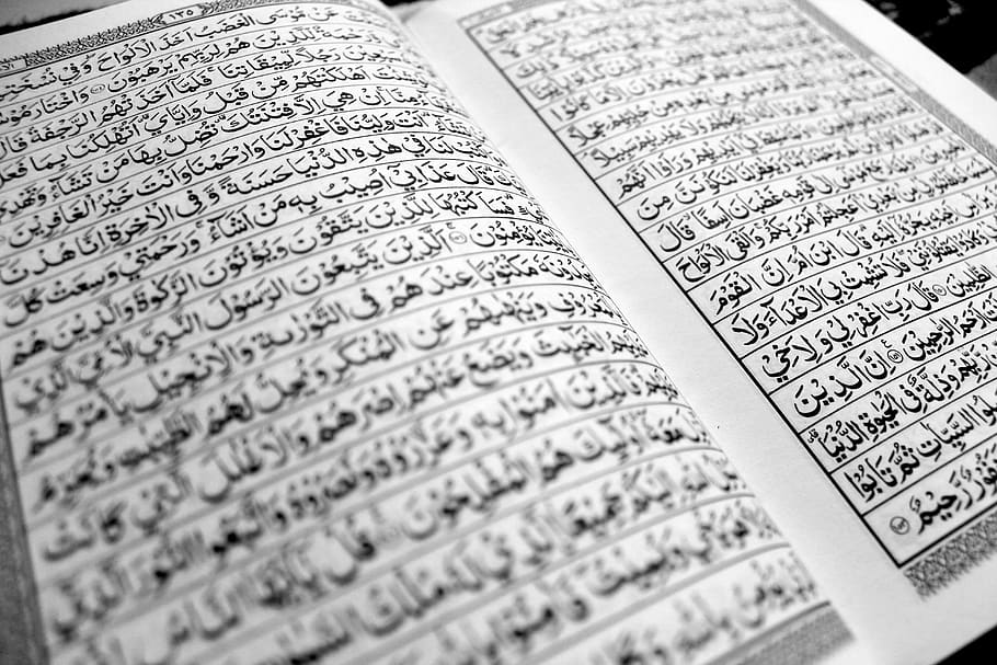 the quran, the koran, islam, tadarus, muslim, koran, holy, text, paper, communication