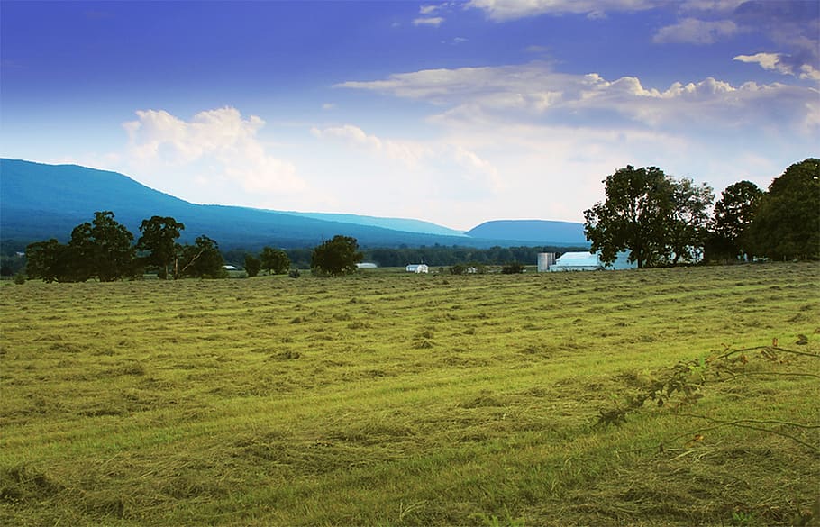 Shenandoah Valley, granja, campo, rural, prado, agricultura, escénico, tranquilo, tierras de cultivo, Estados Unidos