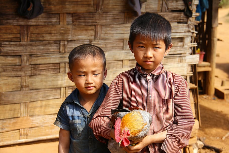 boys, little, young, happy, walking, laos, local, people, beautiful, lovely