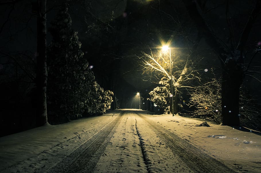 winter, snow, road, night, afternoon, cold, landscape, frost, trees, frozen