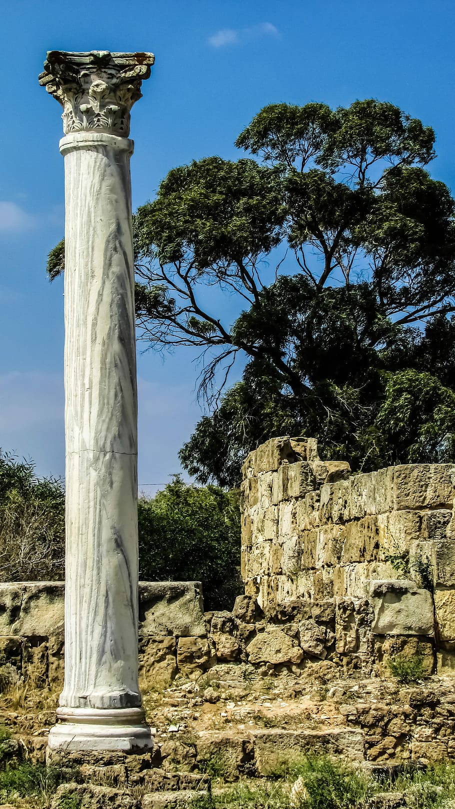 Cyprus, Salamis, Pillar, Corinthian, column, archaeology, archaeological, culture, landmark, famagusta