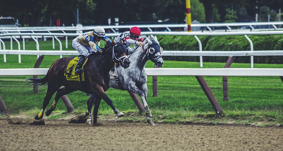 two, person, racing, horse, black, white, race, left, game, sport