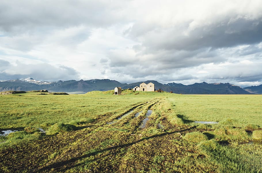 amplo, verde, campo de grama, dia, grama, campo, nublado, céu, Islândia, fazenda