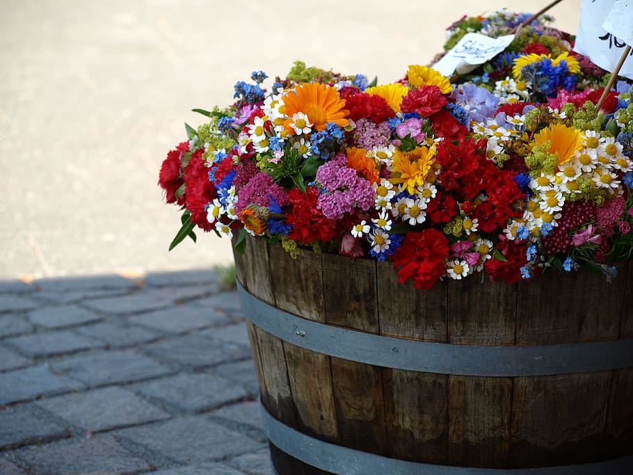assorted, color petaled flowers, brown, wooden, vase, gray, concrete, pavement, daytime, color