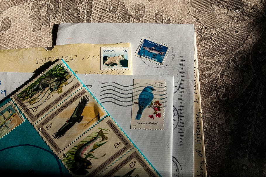 assorted, animal-print postage stamps, mail, postal, letter, envelope, paper, postage, card, postmark