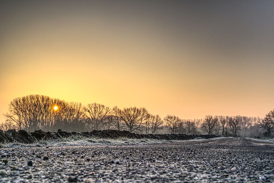 sunrise, light, mood, winter, morning, cold, frosty, icy, agriculture, nature