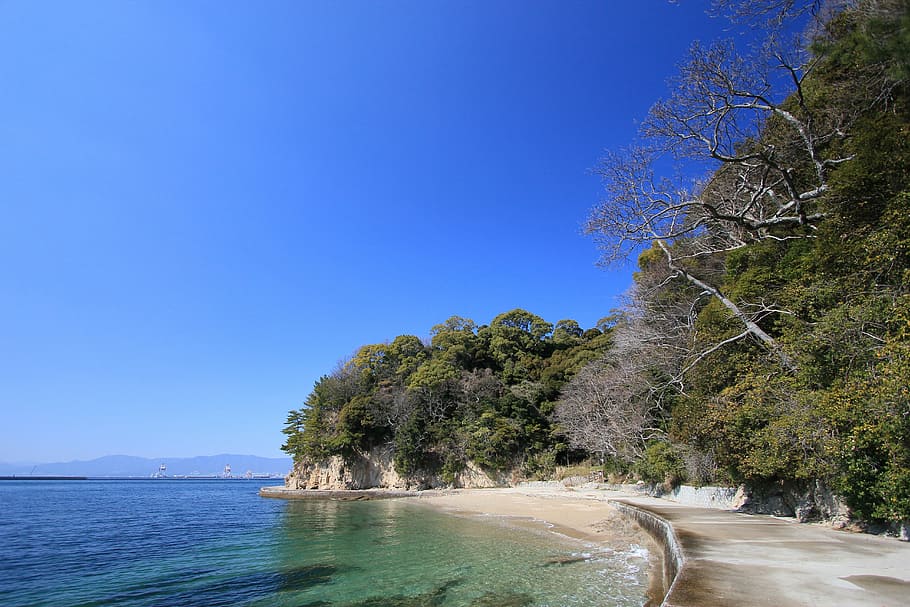 sea, blue sky, coast, seto inland sea, japan, hiroshima, wood, blue, green, sandy