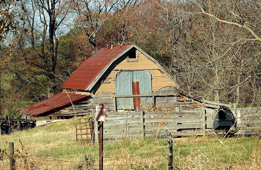 rojo, marrón, madera, casa, maderas, viejo cobertizo rústico, cobertizo de granero, rural, georgia, cobertizo