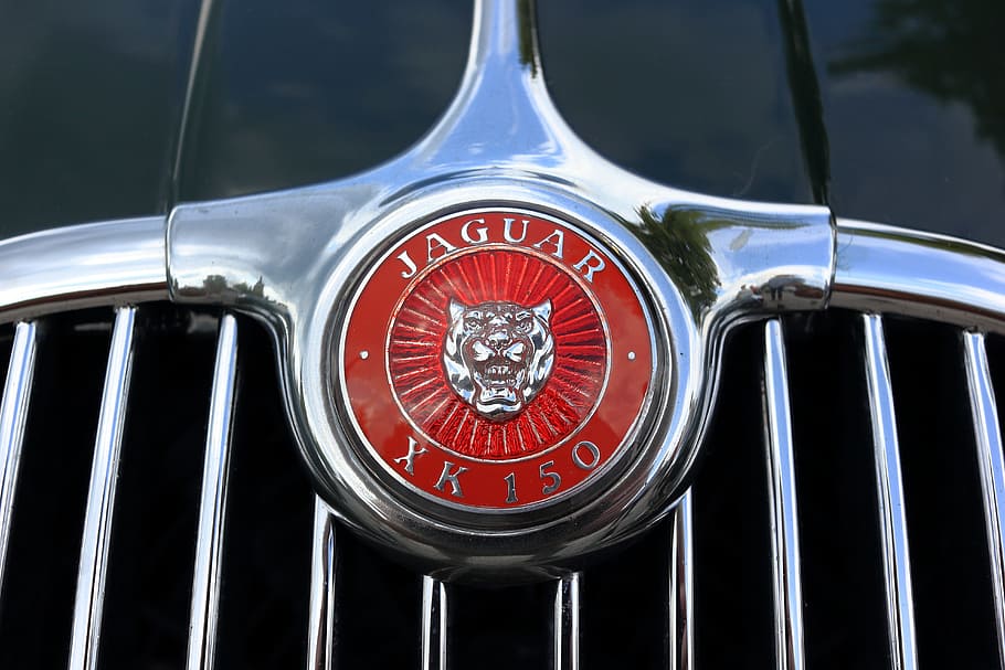 jaguar, coche, logotipo, capó, xk150, xk 150, adorno, clásico, automóvil, cromo