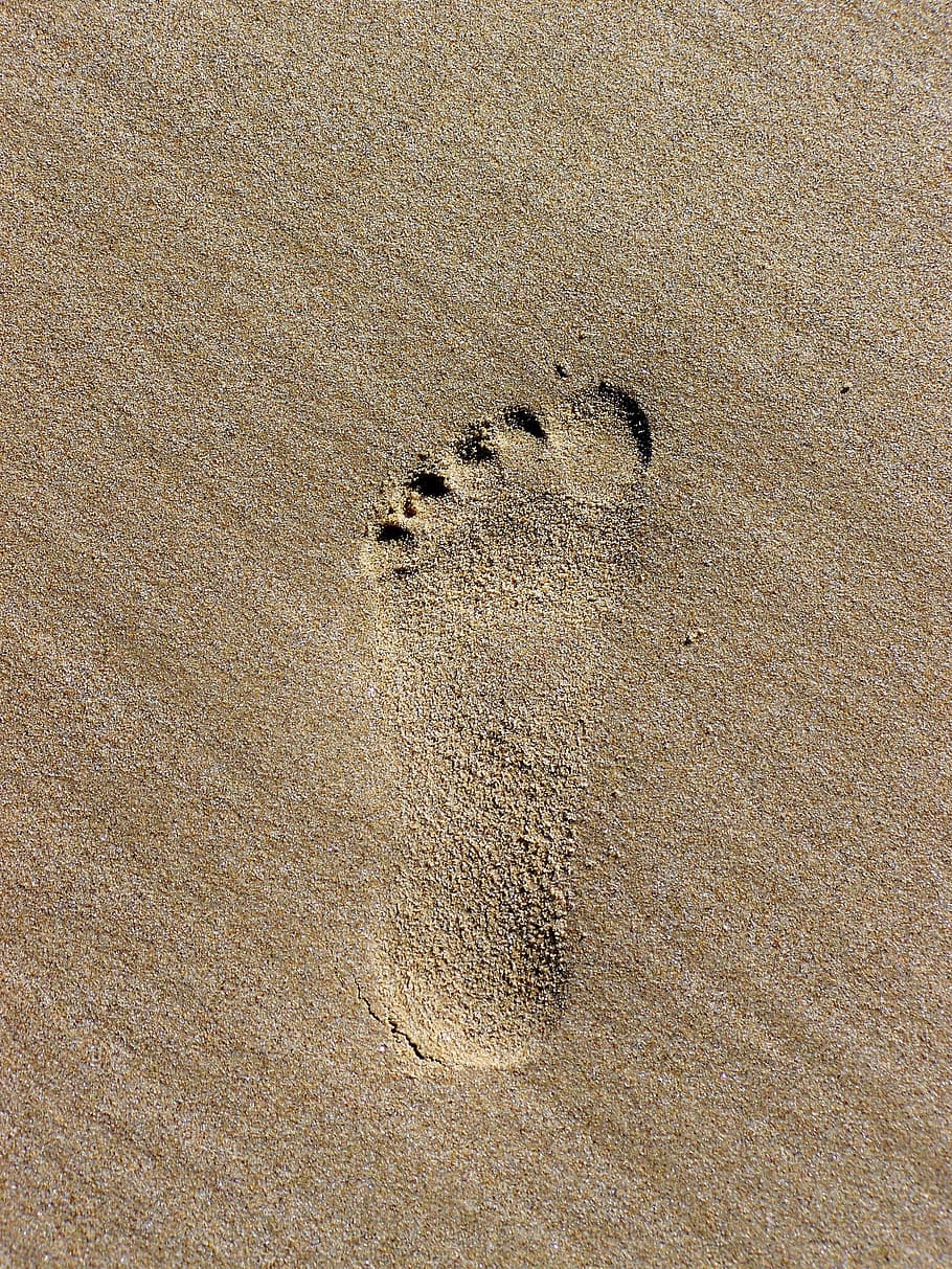 Jejak kaki, Jejak, Pasir, jejak di pasir, jejak kaki di pasir, pantai, jejak binatang, cetakan kaki, jejak - jejak, tanah