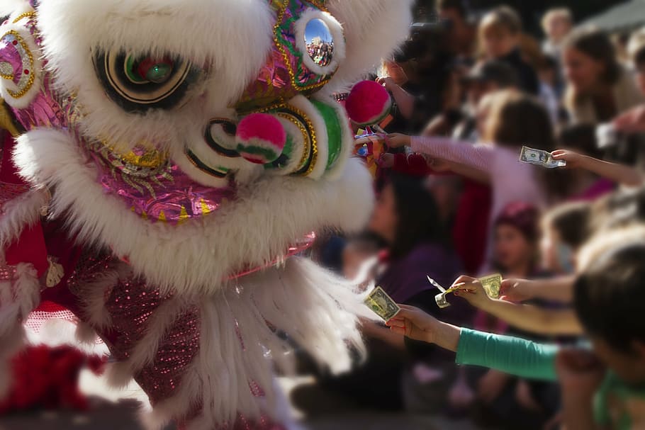 white, pink, chinese lion, chinese new year, dragon, money, children, street performance, celebration, new year