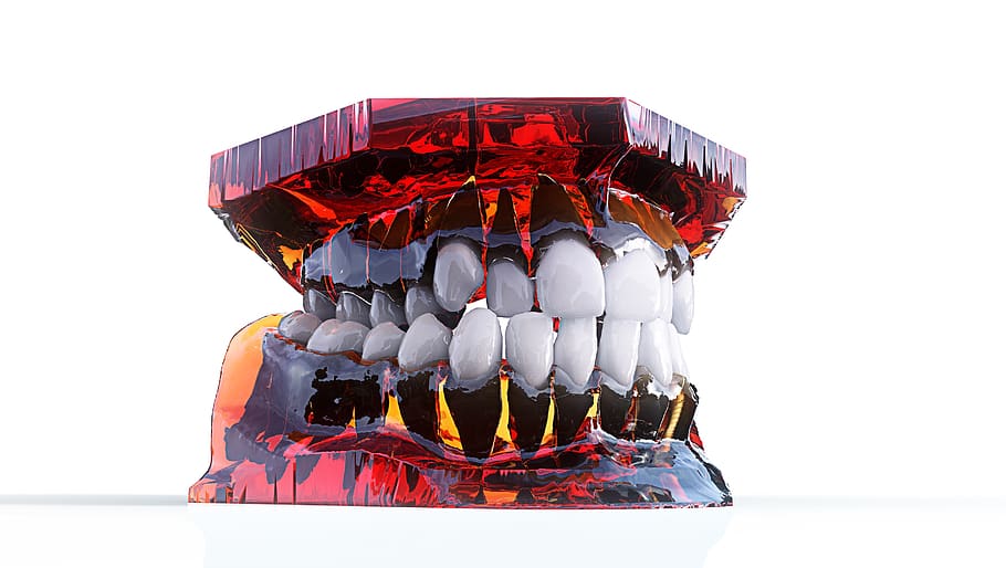 dentes, maxilar, modelo 3d, ortodontia, odontologia, tiro do estúdio, fundo branco, ambiente interno, ninguém, close-up