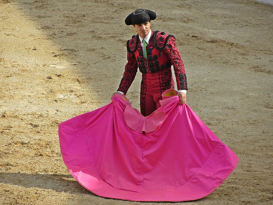 matador, memakai, merah, hitam, memegang, pink, teks, torero, perkelahian dengan banteng, portugal