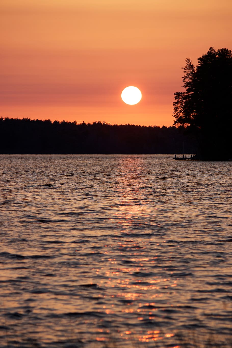 warm, lake, sunset, orange, trees, silhouette, forest, water, nature, outdoors