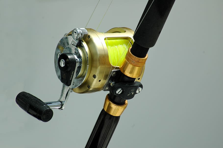 Fishing Reel, Tackle, Equipment, rod, fish, sport, line, catch, hook, nature