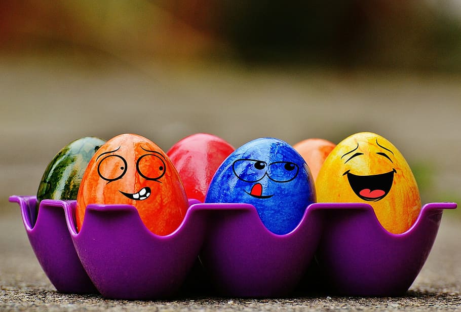 painted, eggs, tray, easter, easter eggs, funny, colorful, happy easter, egg, colored
