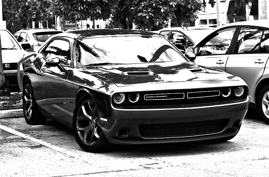 grayscale photo, dodge, challenger coupe, hdr, monochrome, muscle car, car, motor vehicle, mode of transportation, land vehicle