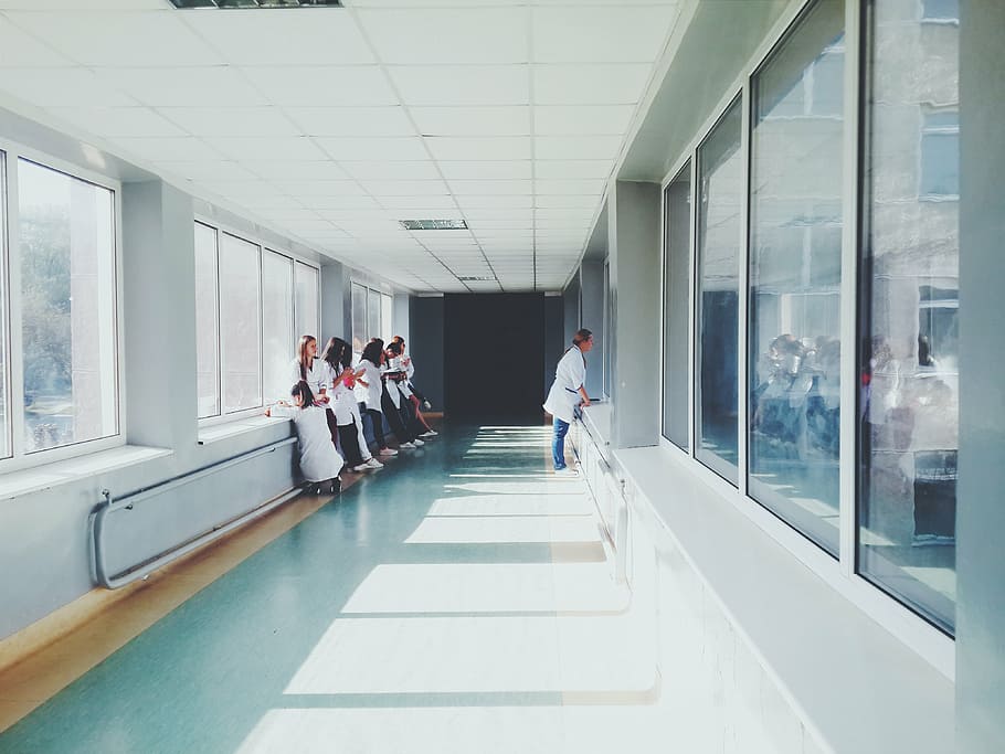people, standing, hallway, white, doctors, hospital, health, nurses, glass, window