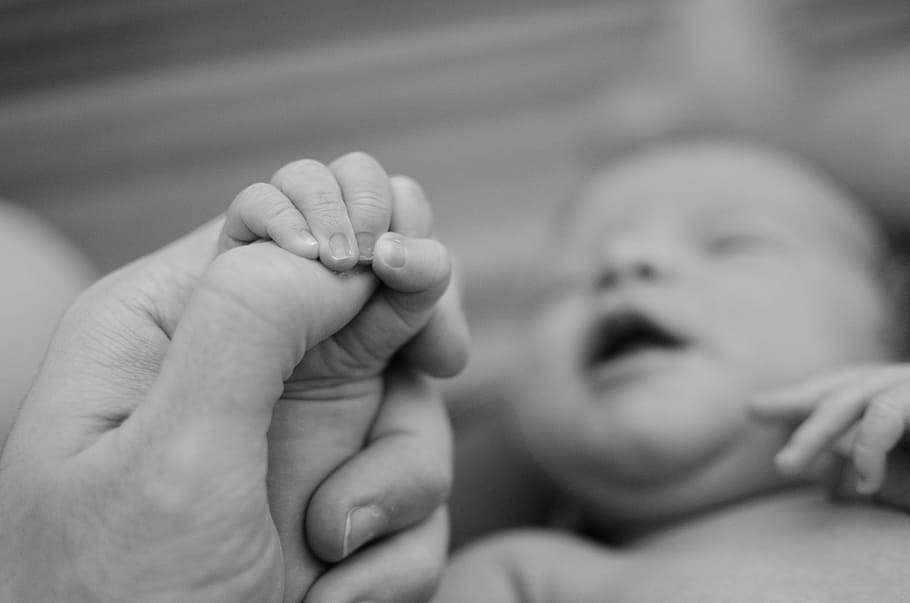 foto en escala de grises, niño, bebé, paternidad, mano, dedo, madre, padre, amor, hijo