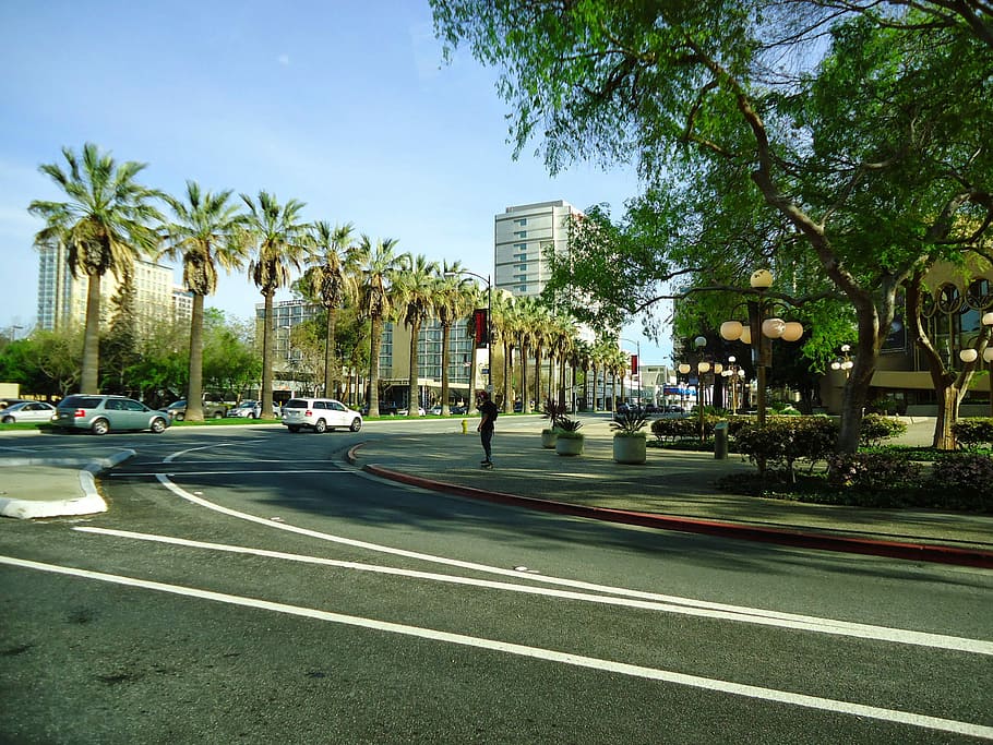 Árboles, calle, California, el centro de San José, San José, el centro de la ciudad, fotos, dominio público, carretera, Estados Unidos