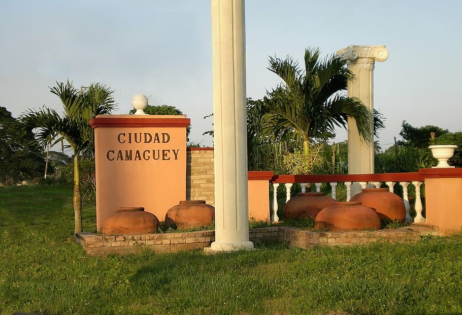 ciudad camaguey signage, cuba, camaguey, city, plant, tree, palm tree, grass, nature, western script