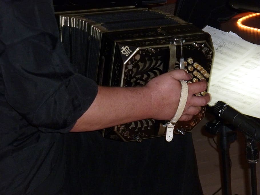 music, musician, bandoneon, tango argentino, instrument, musical instrument, one person, human hand, arts culture and entertainment, real people