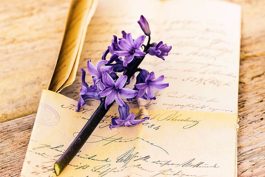 purple, flowers, paper, letters, old letter, handwriting, font, flower, fragrant flower, hyacinth