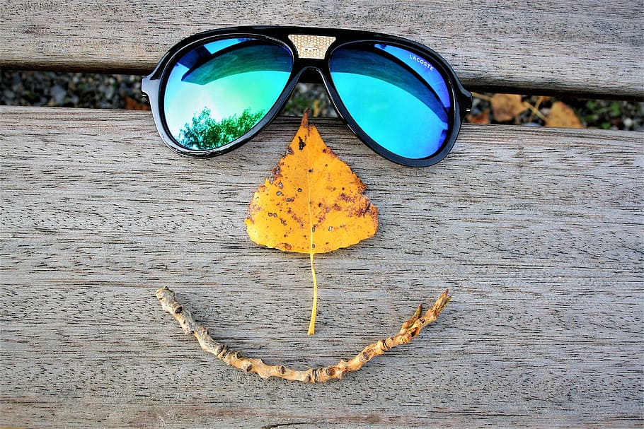 azul, gafas de sol de aviador, negro, monturas, gafas, una sonrisa, hoja, otoño, octubre, banco