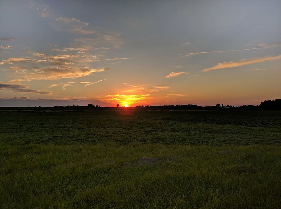 sunset, farm, rural, field, midwest, illinois, sky, scenics - nature, tranquil scene, beauty in nature