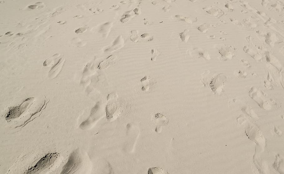 kaki, cetak, pasir, tapak, pantai, desain, berjalan, siluet, bentuk, manusia