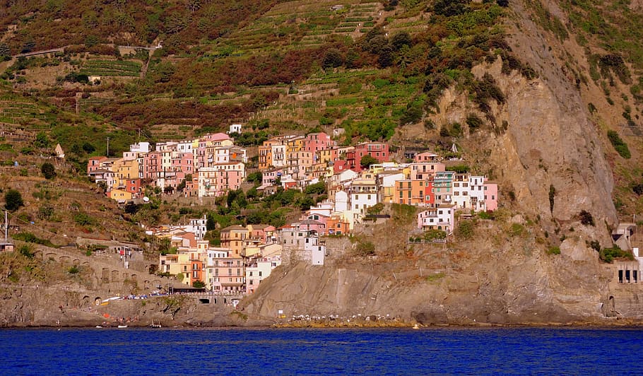 Casas, colores, colorido, mar, roca, montaña, agua, manarola, liguria, italia