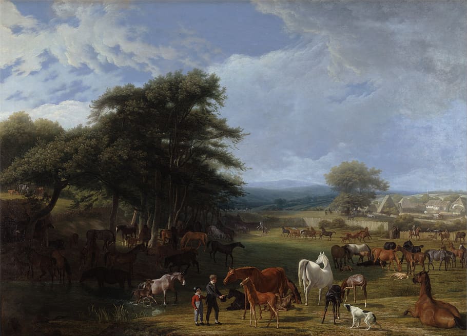 manusia, anak, bidang, kawanan, lukisan kuda, jacques agasse, seni, artistik, lukisan, minyak di atas kanvas