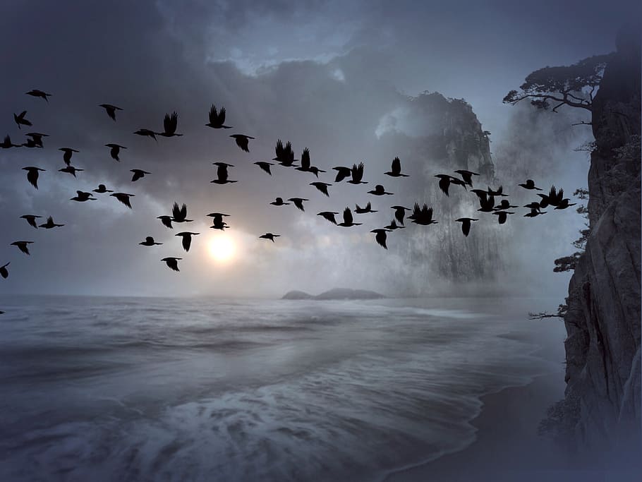 bandada, cuervo, nubes estratocúmulos, bandada de pájaros, pájaros, enjambre, montaña, mar, agua, azul