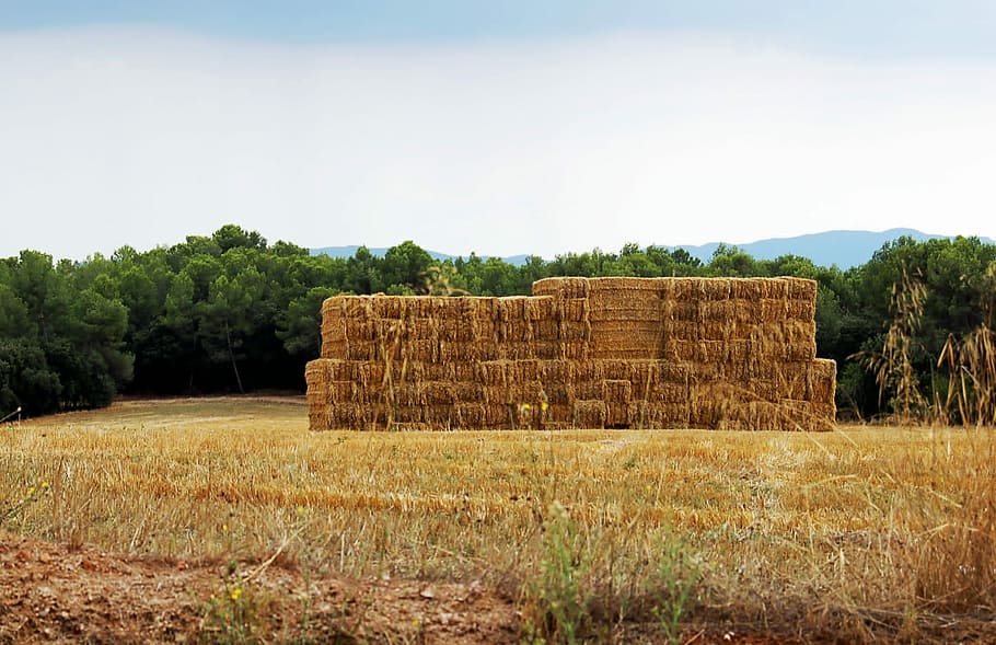 Landscape, Haystack, Straw, summer, straw bale, farm, field, agriculture, sky, nature