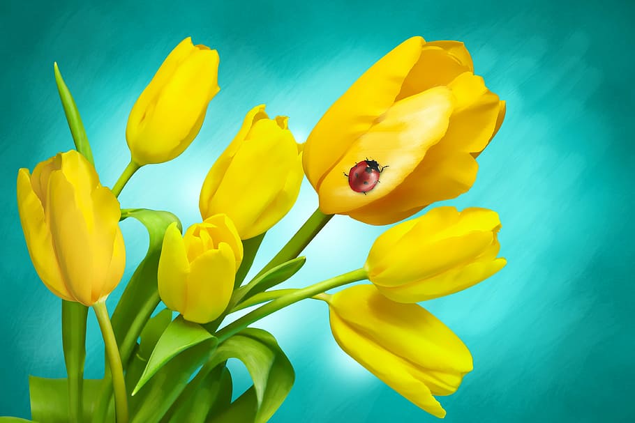 rojo, mariquita, encaramado, amarillo, pintura de tulipán, flores, primavera, tulipanes, planta, prado