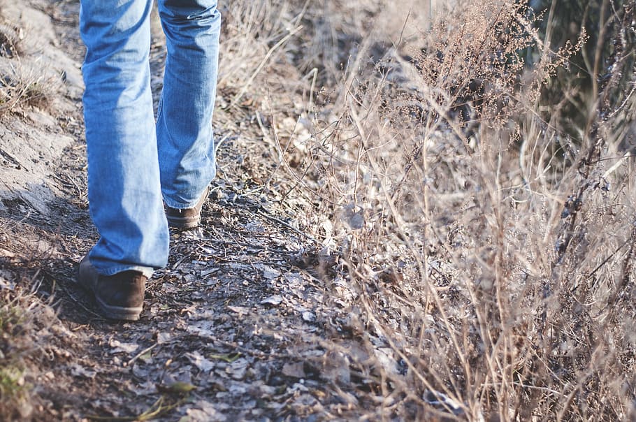 person, wearing, blue, jeans, walking, hiking, nature, walking trails, walking shoes, walking boots