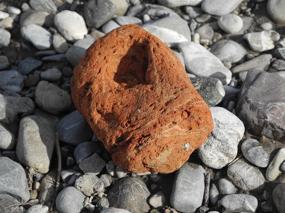 Nature, Pumice Stone, Reddish, stone, pebble, brown, food, rock - Object, stone - object, fossil