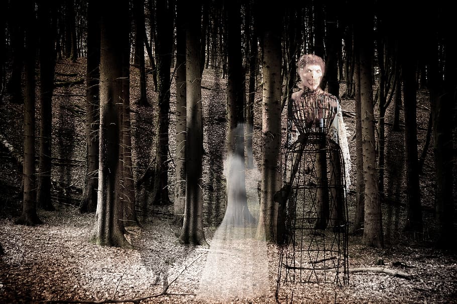two, ghost, forest, graphic, art, graphic art, ghosts, spirit, mystical, forest spirits