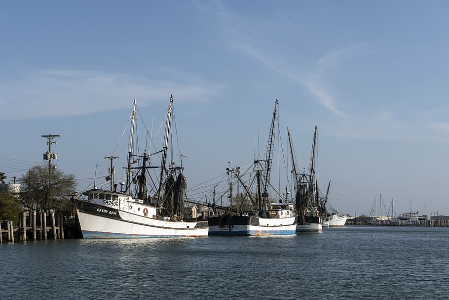 shrimp boats, moored, inlet, water, sea, bay, dock, fishing, commercial, ocean