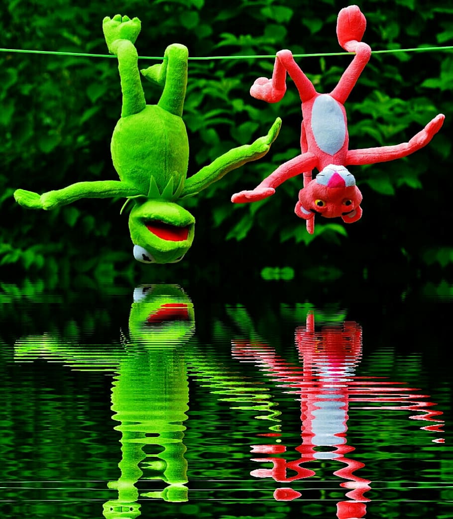 kermit, frog, pink, panther, plush, toys, hanging, wire, water, mirroring
