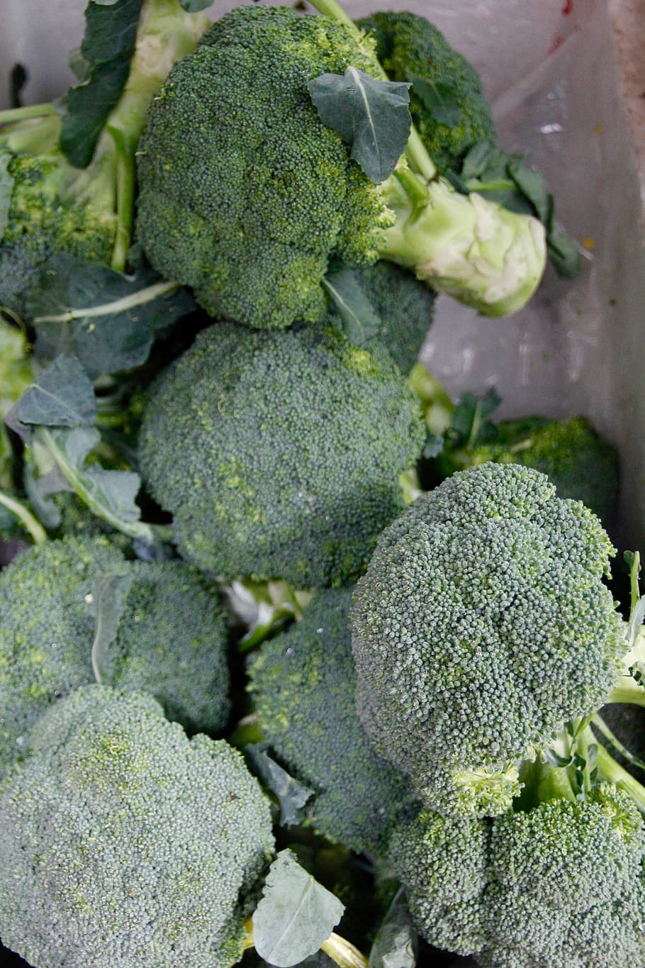 broccoli, vegetables, nutrition, eat, food, vitamins, healthy, green, cauliflower, court